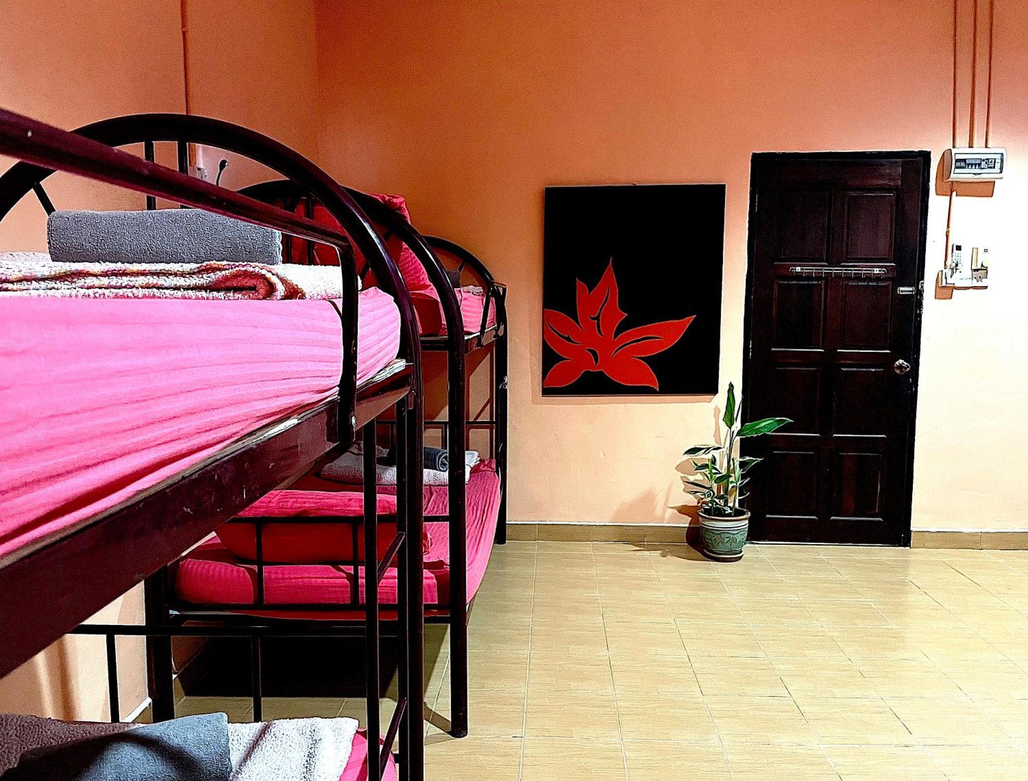 Home Sol Guesthouse Pantai Cenang  Luaran gambar